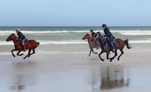Pearly Beach Horse Trails - Beach Horse Rides