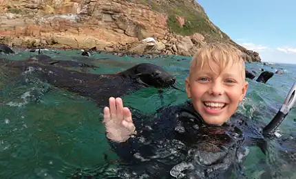 ProDive Plett - Seal Trips