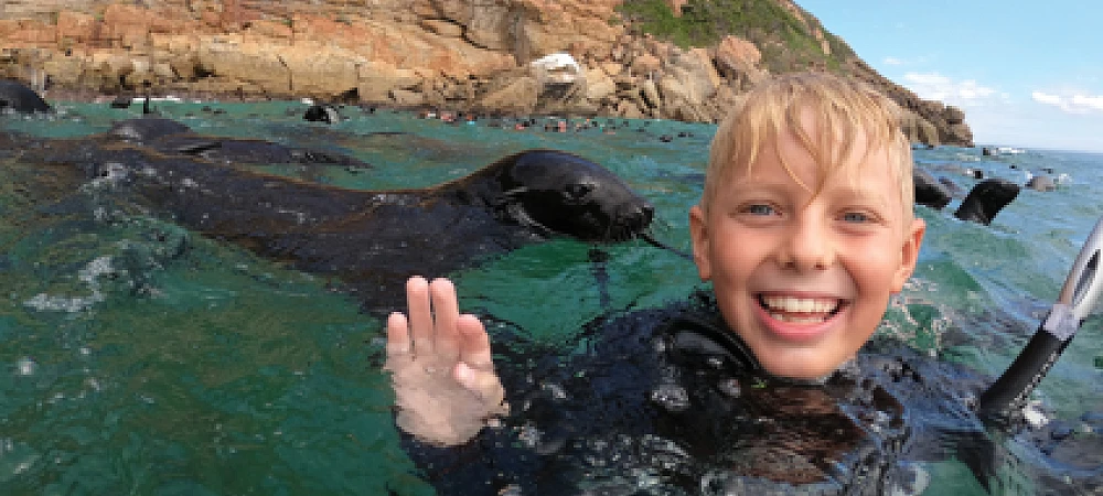 ProDive Plett - Seal Trips