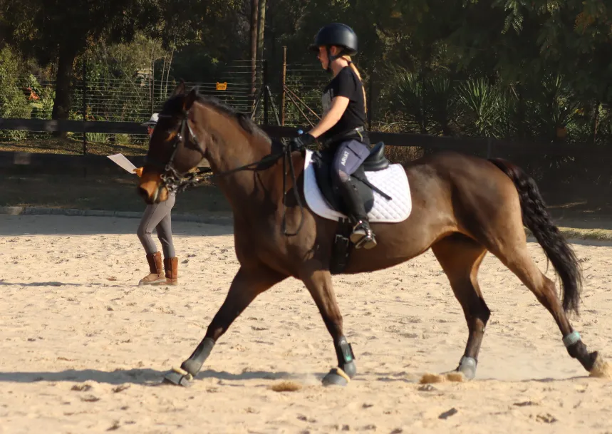 Learn to Ride a Horse with Farnham Riding School