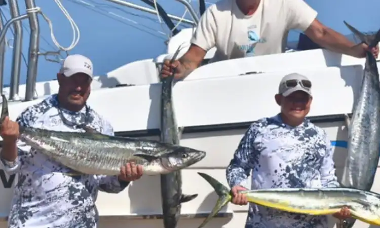 Seevarkie - Deep Sea Fishing 2