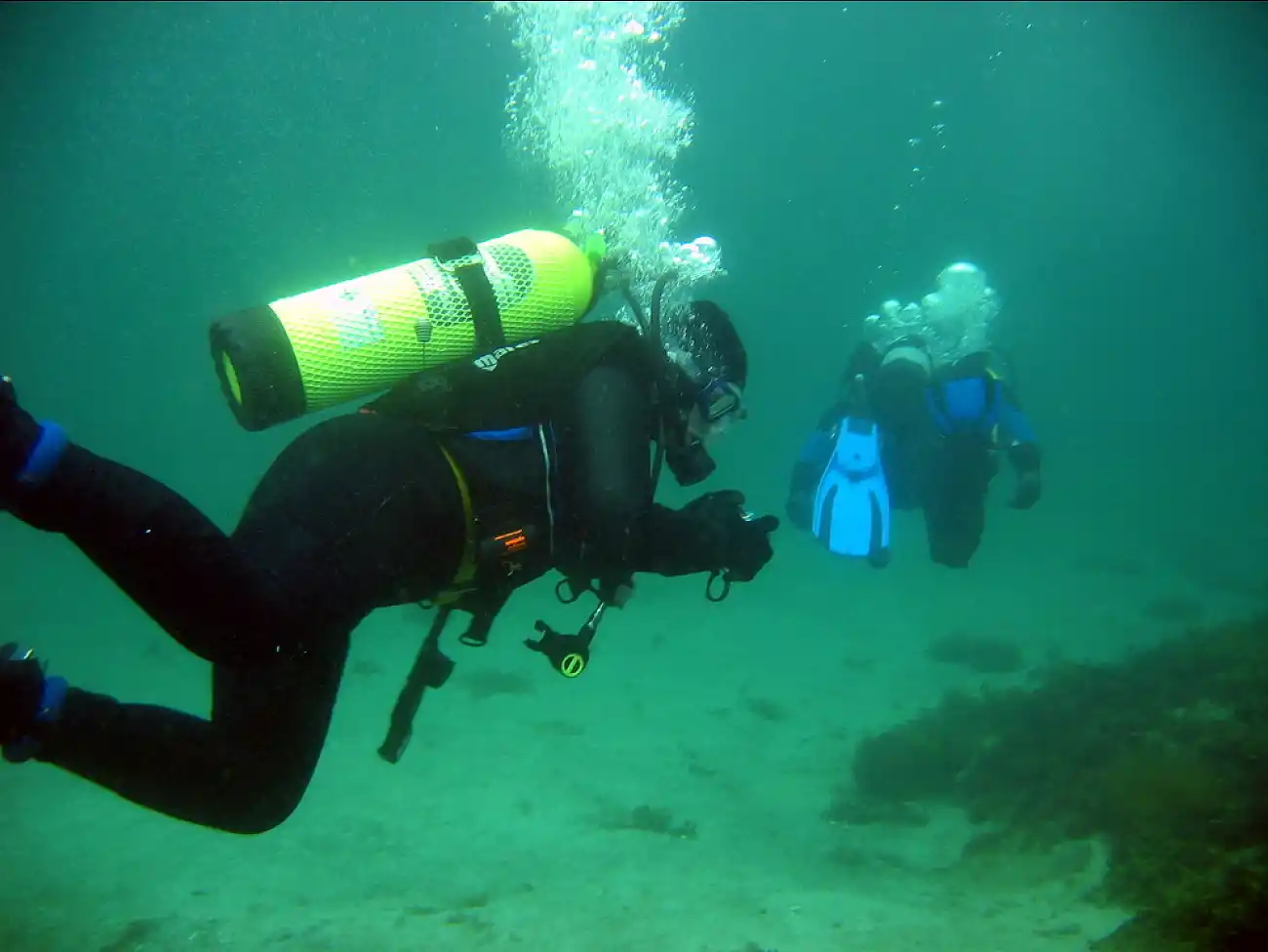 Scuba diving in the Overberg