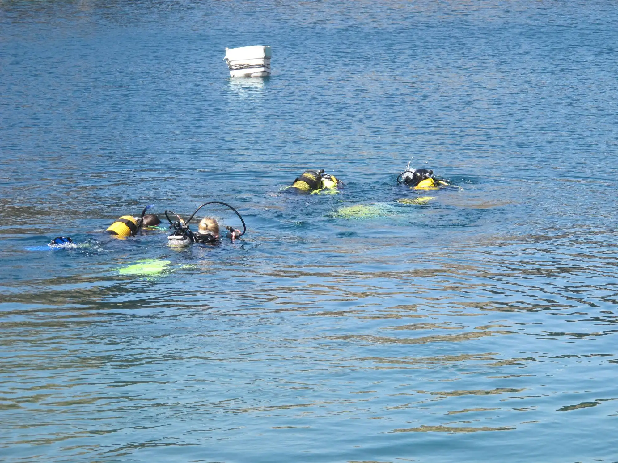 Scuba Diving