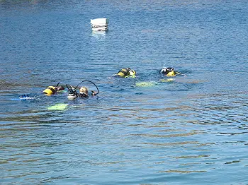 Scuba Diving