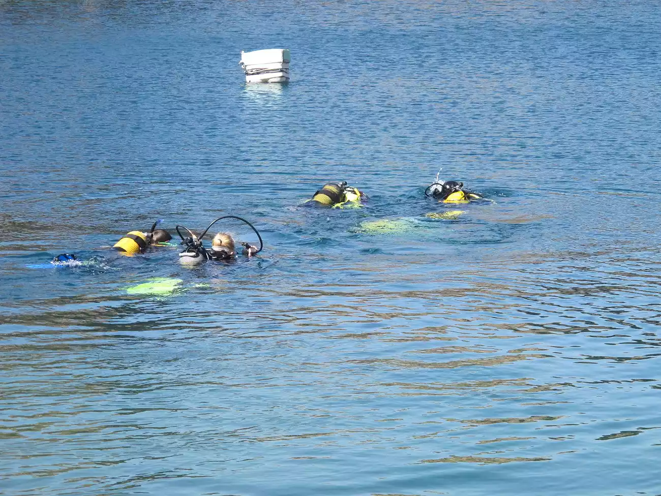 Scuba Diving in the Free State