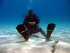 Scuba Diving