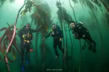 Scuba Diving