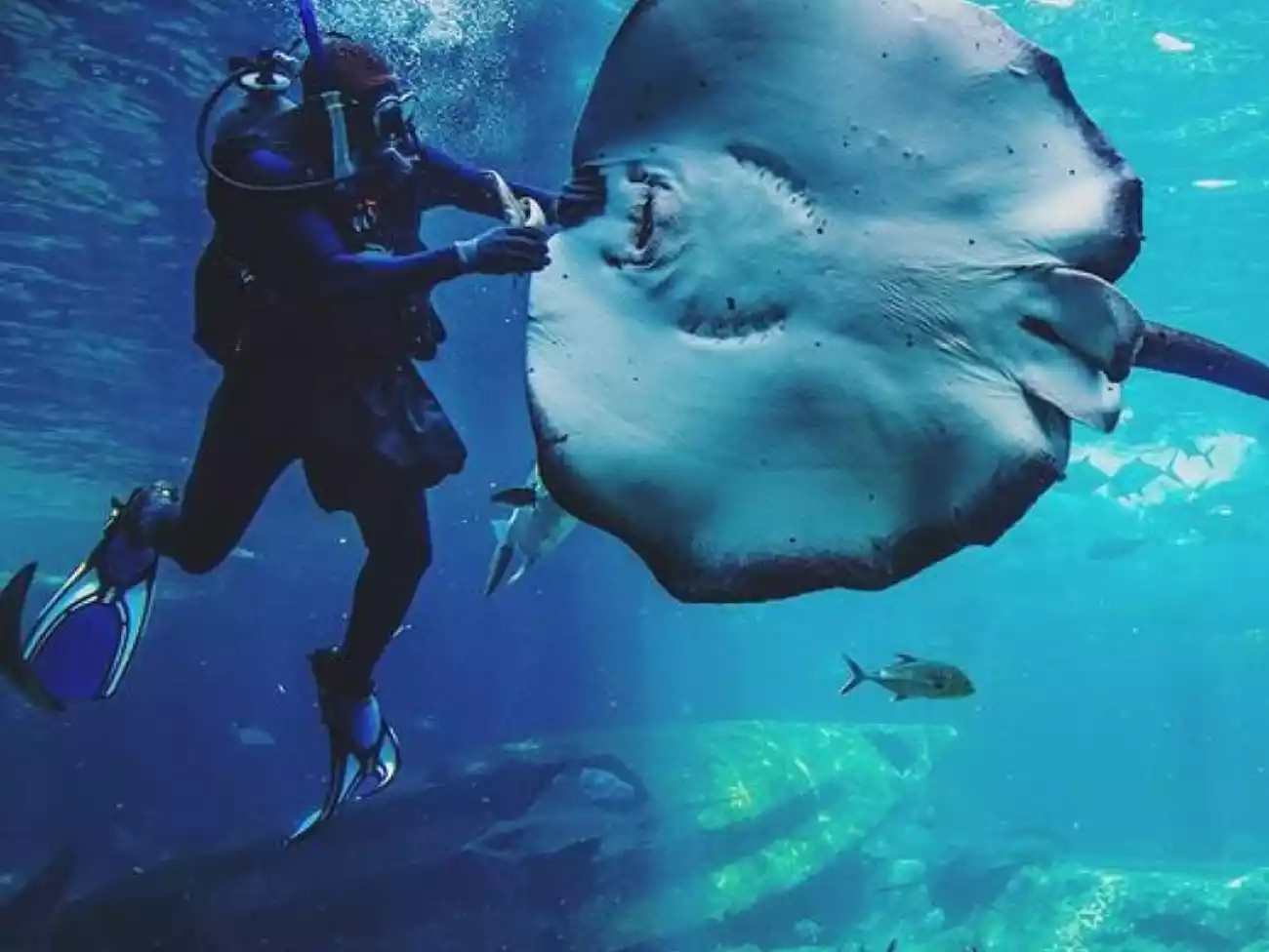 Scuba Diving in Durban