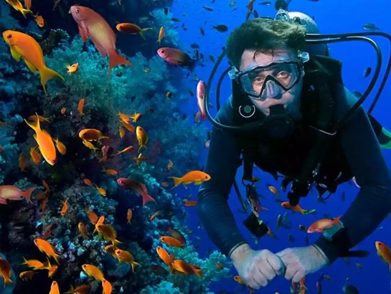 Scuba Diving on the Garden Route