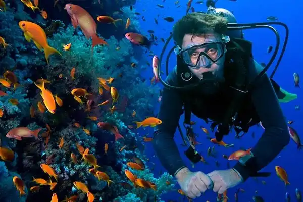 Scuba Diving
