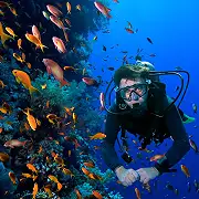 Scuba Diving