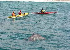 Sea Kayaking