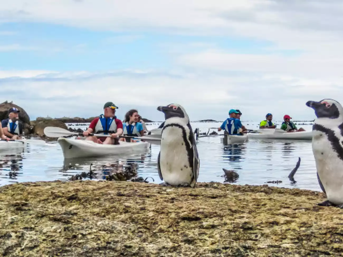 Sea Kayaking in Simon's Town