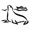 Seal Viewing Trips