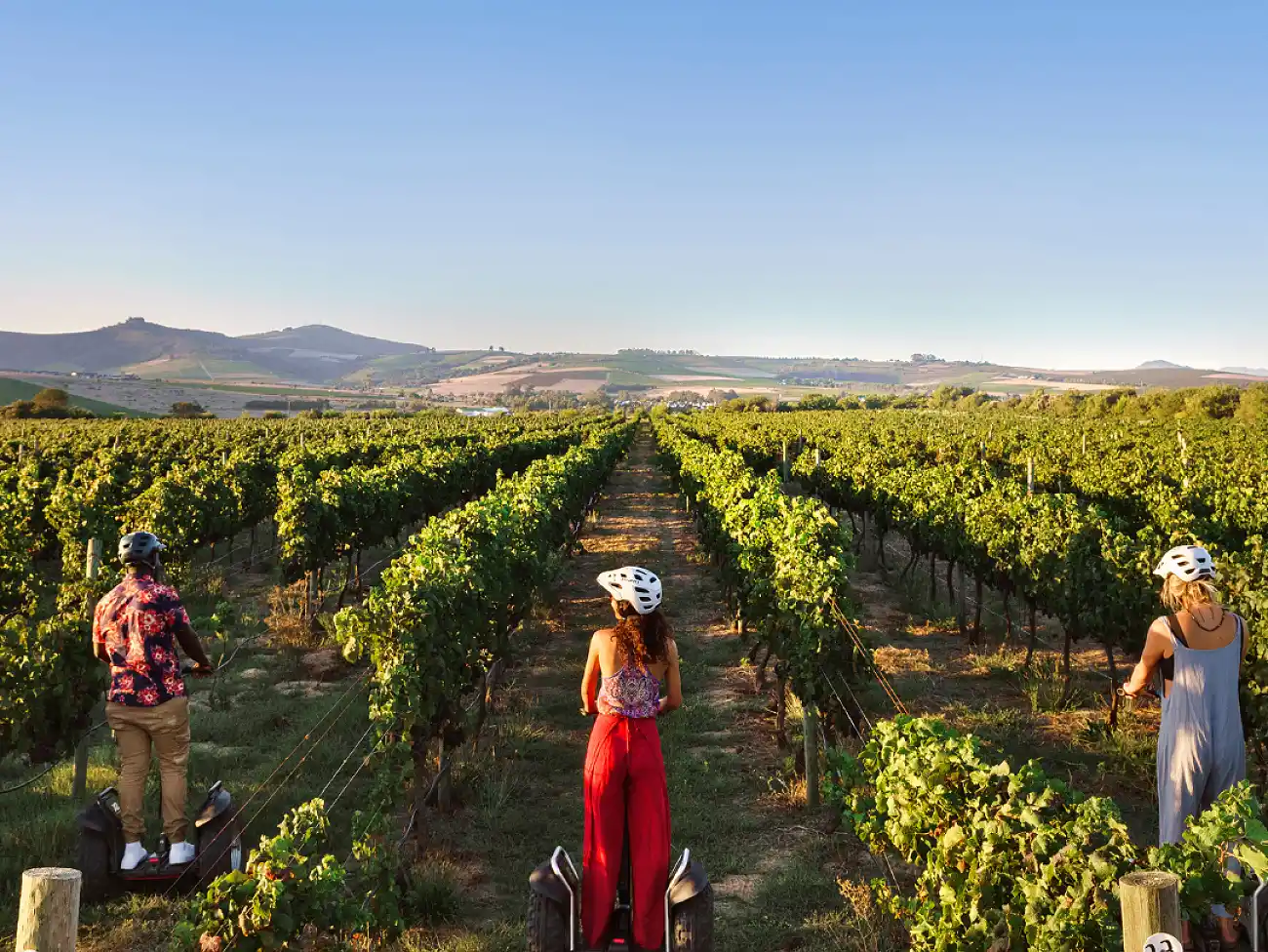 Segway Tour in Cape Winelands 