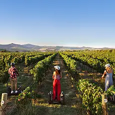 Segway Tours