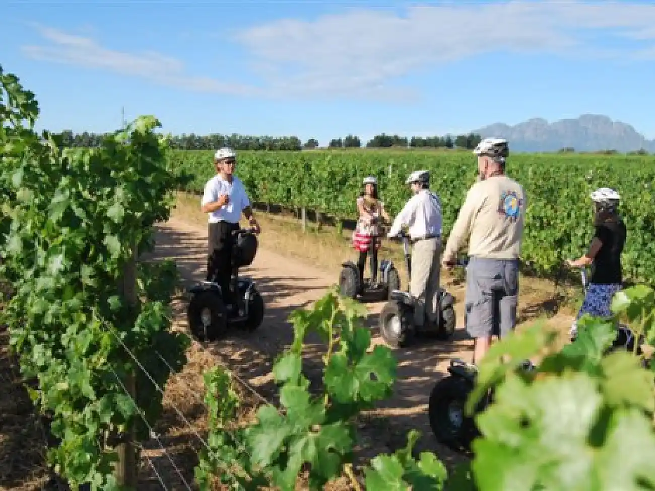 Segway Gliding Tours in Stellenbosch