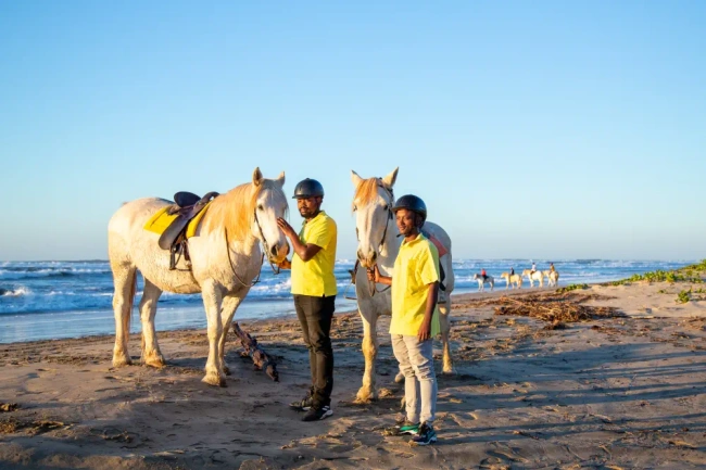 {def_description_image_text}