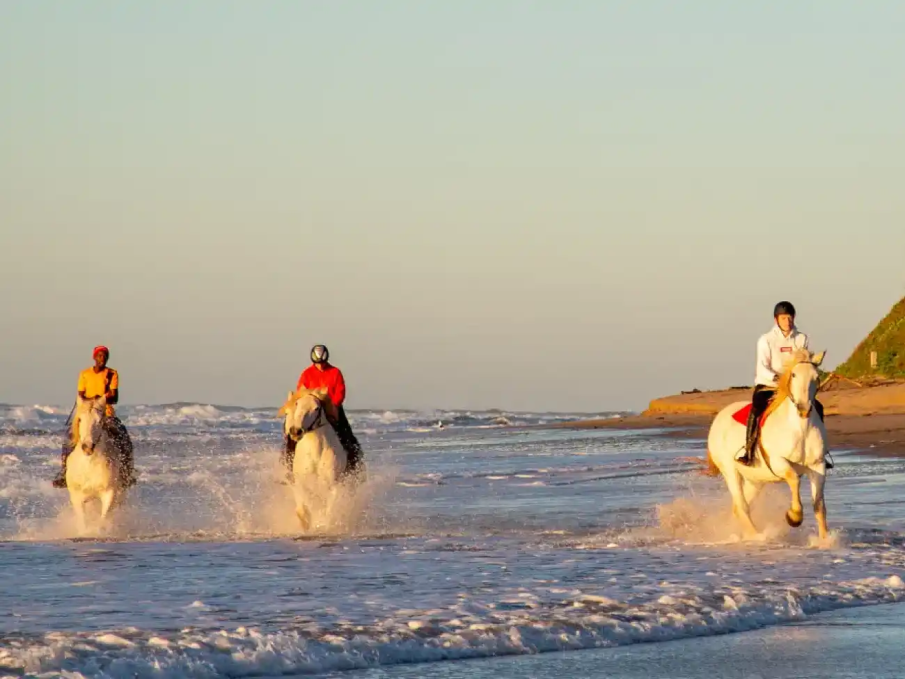 Beach Horse Rides at Selsdon Park Estate