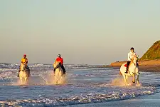 Beach Horse Rides
