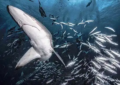 The Best South African Outdoor Adventure Activities