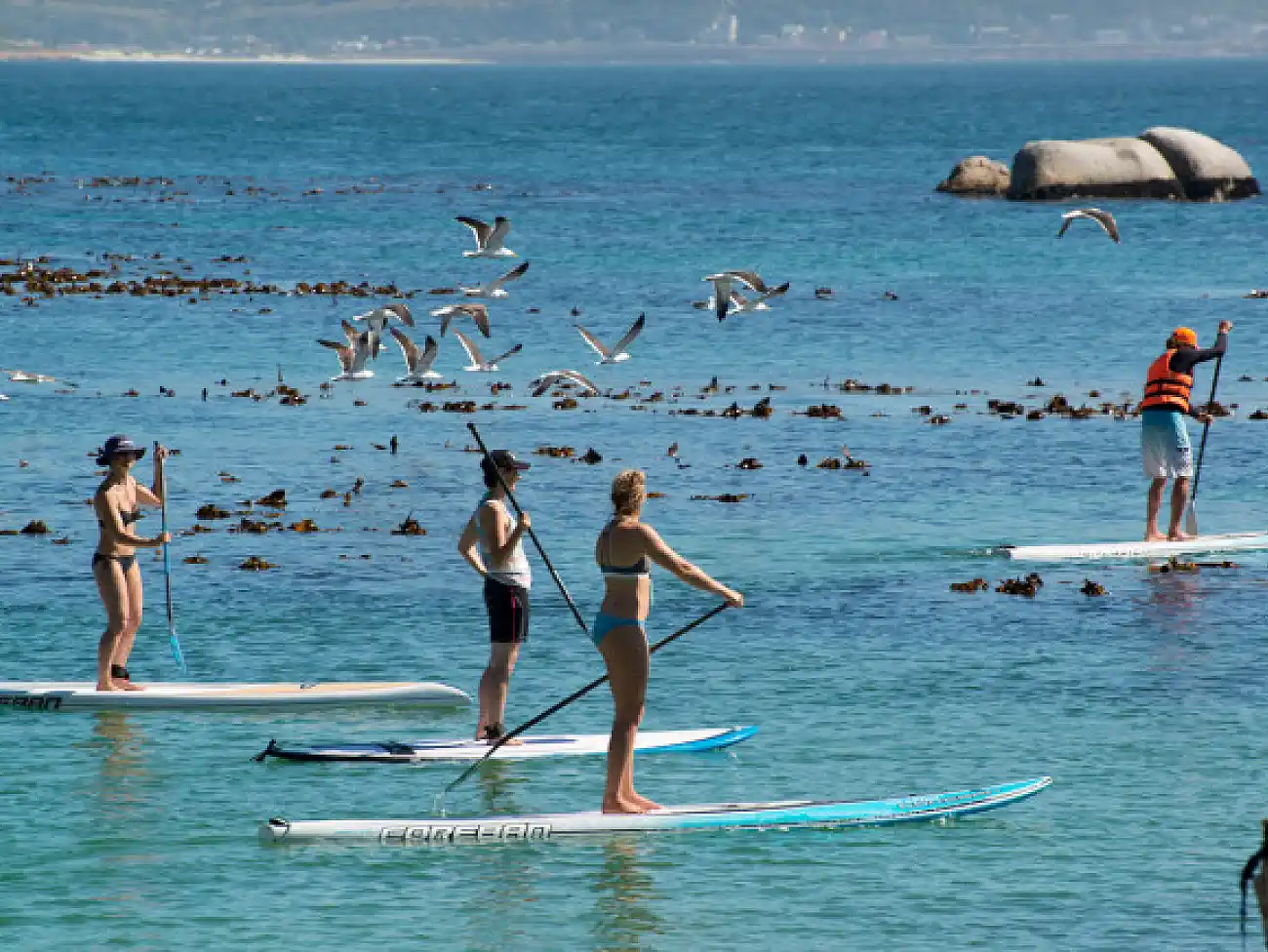 Stand-Up Paddleboarding in False Bay