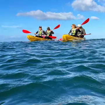 Shark Warrior Adventure Centre - Sea Kayaking