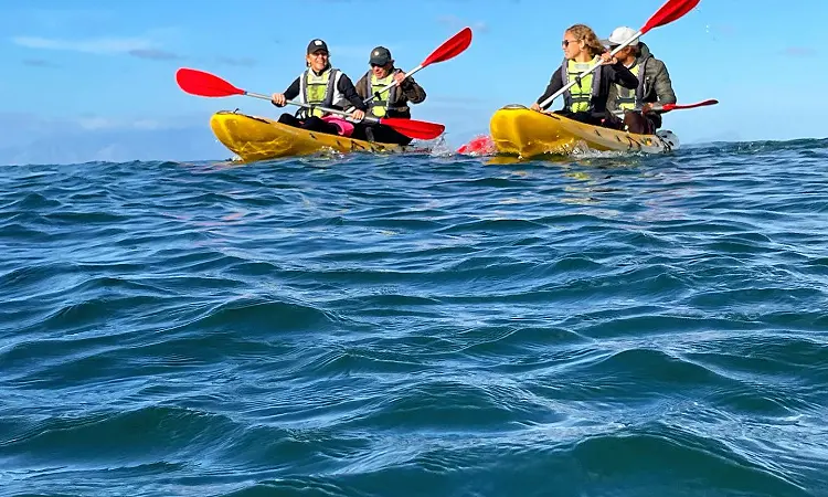 Shark Warrior Adventure Centre - Sea Kayaking