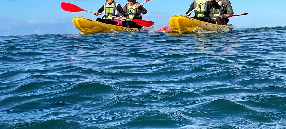 Shark Warrior Adventure Centre - Sea Kayaking