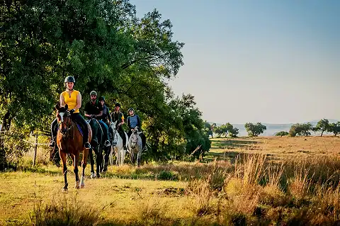 Shepherd's Fold Stables - Horse Riding