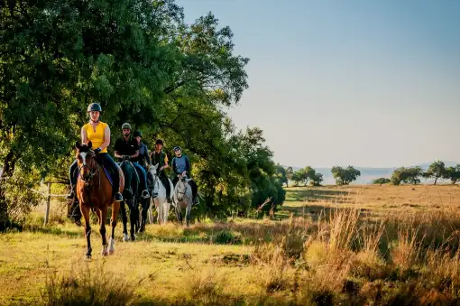 Shepherd's Fold Stables - Horse Riding