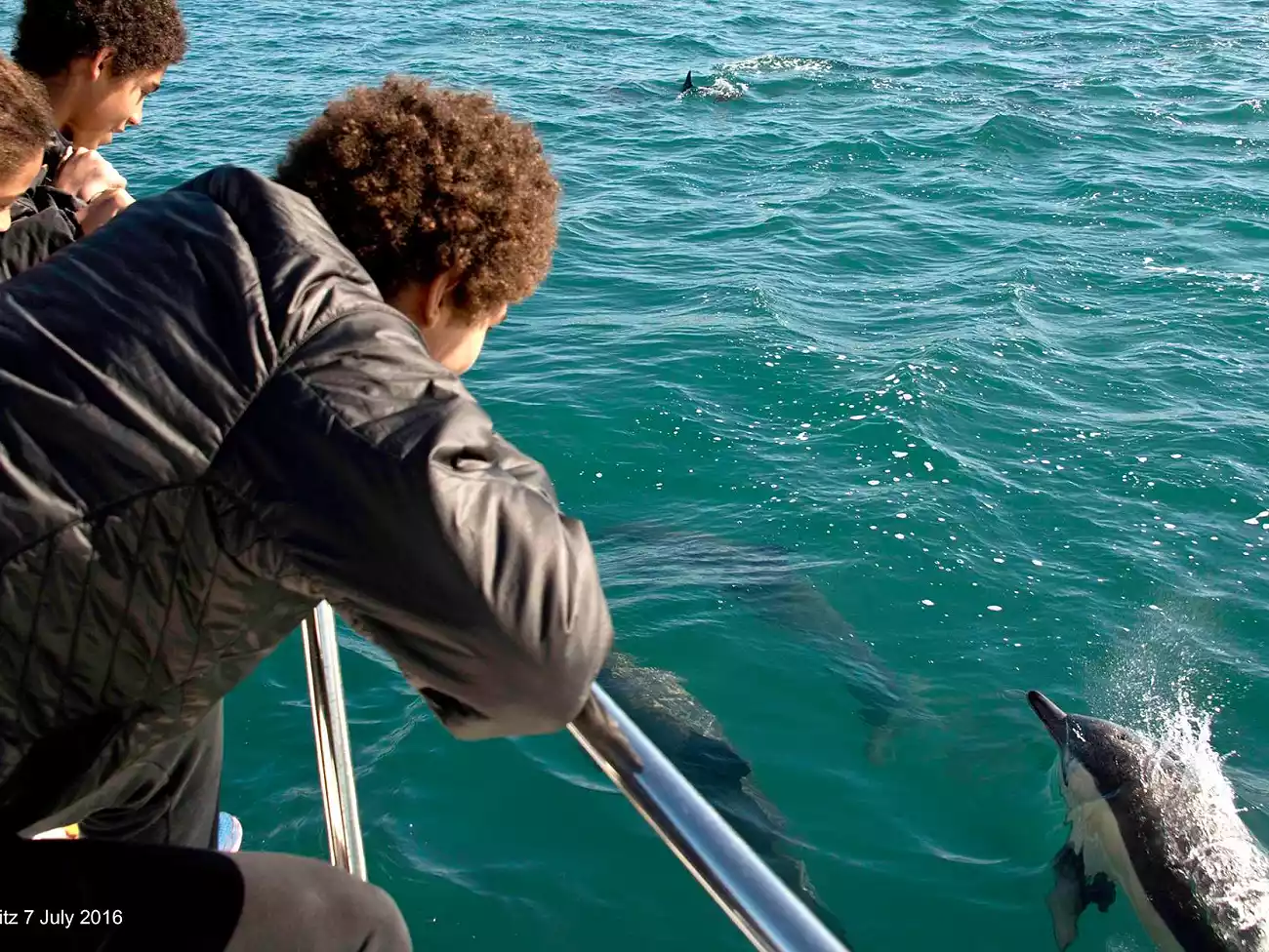 Boat Trips in False Bay