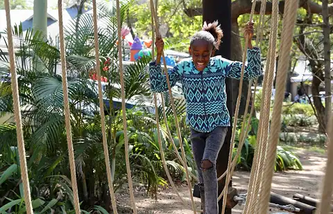 Skyway Trails - Rope Course