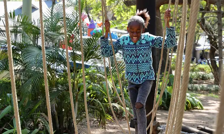 Skyway Trails - Rope Course
