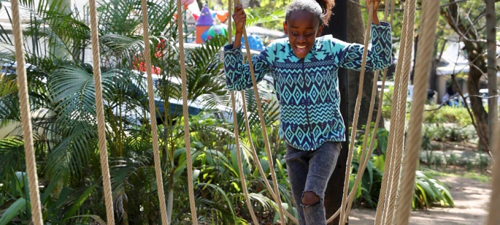 Skyway Trails - Rope Course