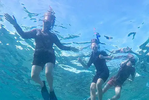Safari and Surf Adventures - Snorkeling