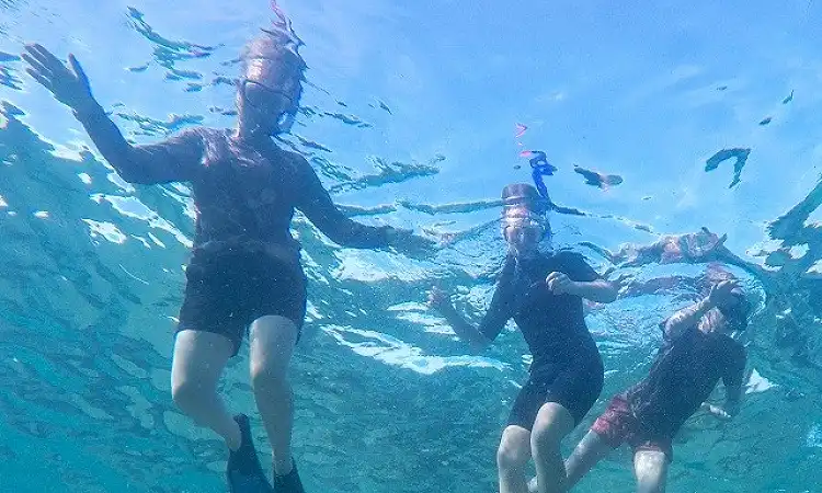 Safari and Surf Adventures - Snorkeling