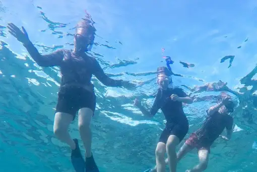 Safari and Surf Adventures - Snorkeling
