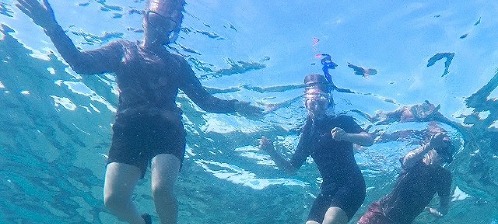 Safari and Surf Adventures - Snorkeling