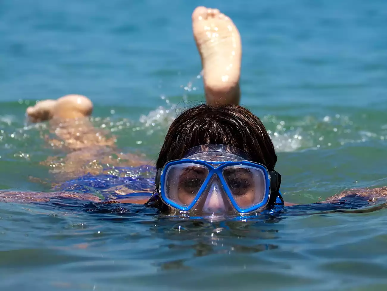 Snorkeling in Simons Town