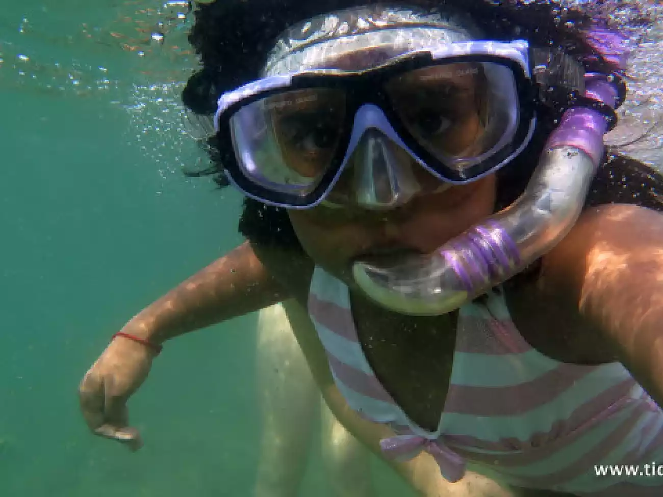 Snorkelling on the KwaZulu-Natal North Coast