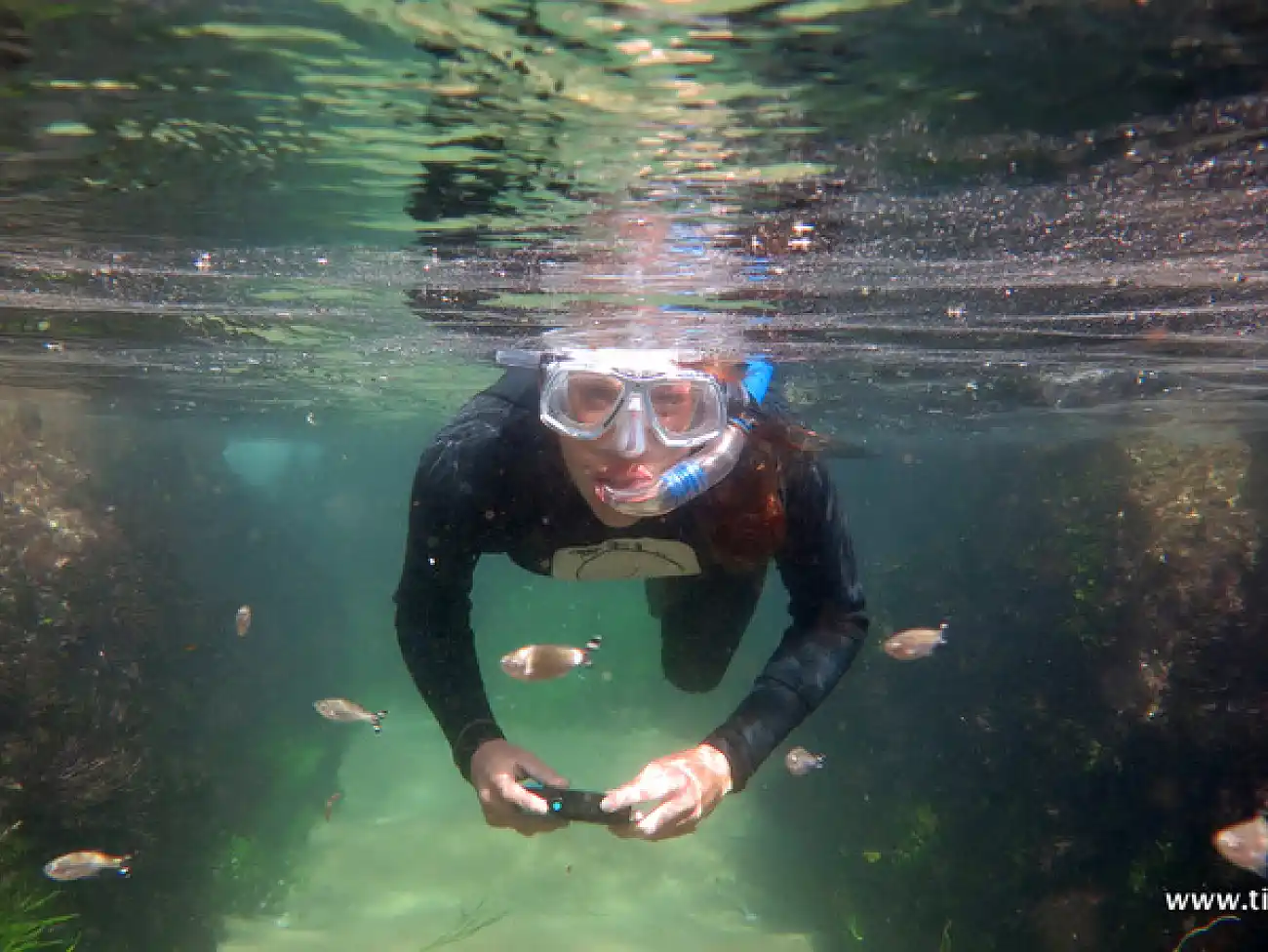 Snorkelling on the Kwa Zulu Natal South Coast