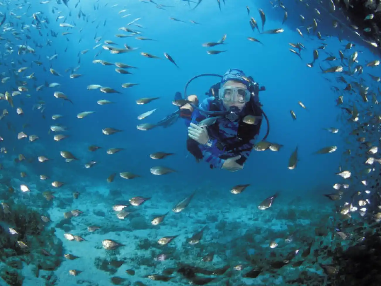 Scuba Diving in the Tsitsikamma National Park