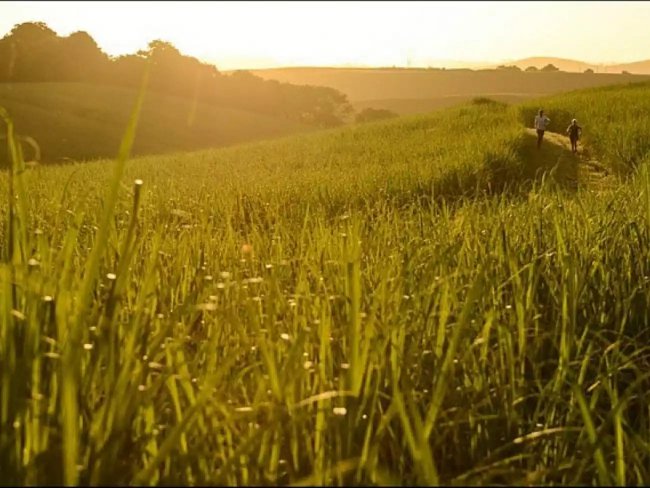 Trail Running on the KwaZulu-Natal South Coast