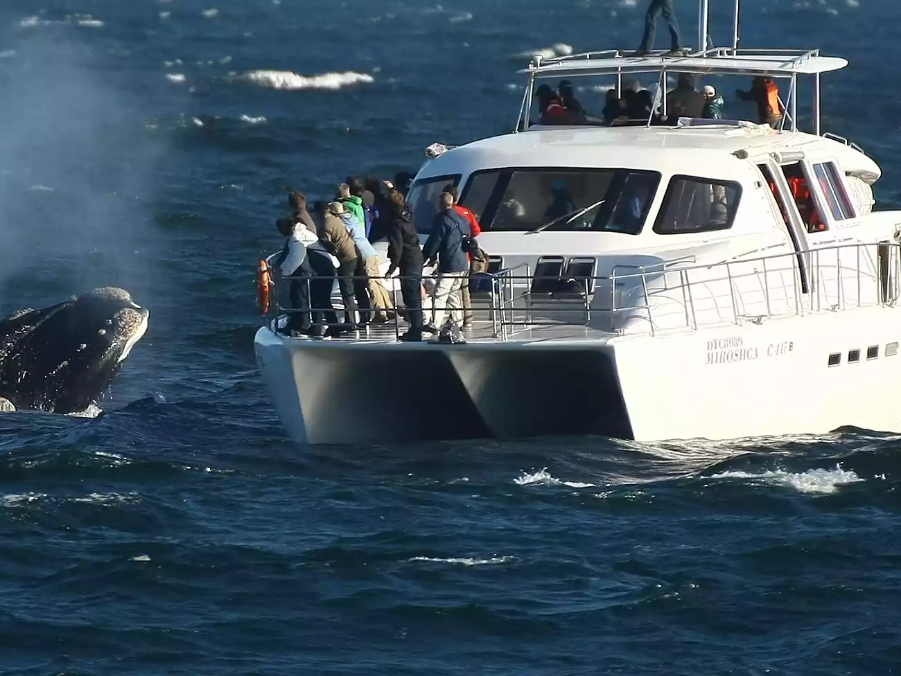 Sunset Cruises in the Overberg