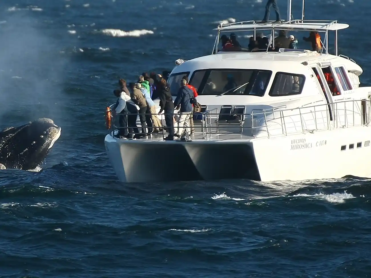 Sunset Cruises in the Overberg