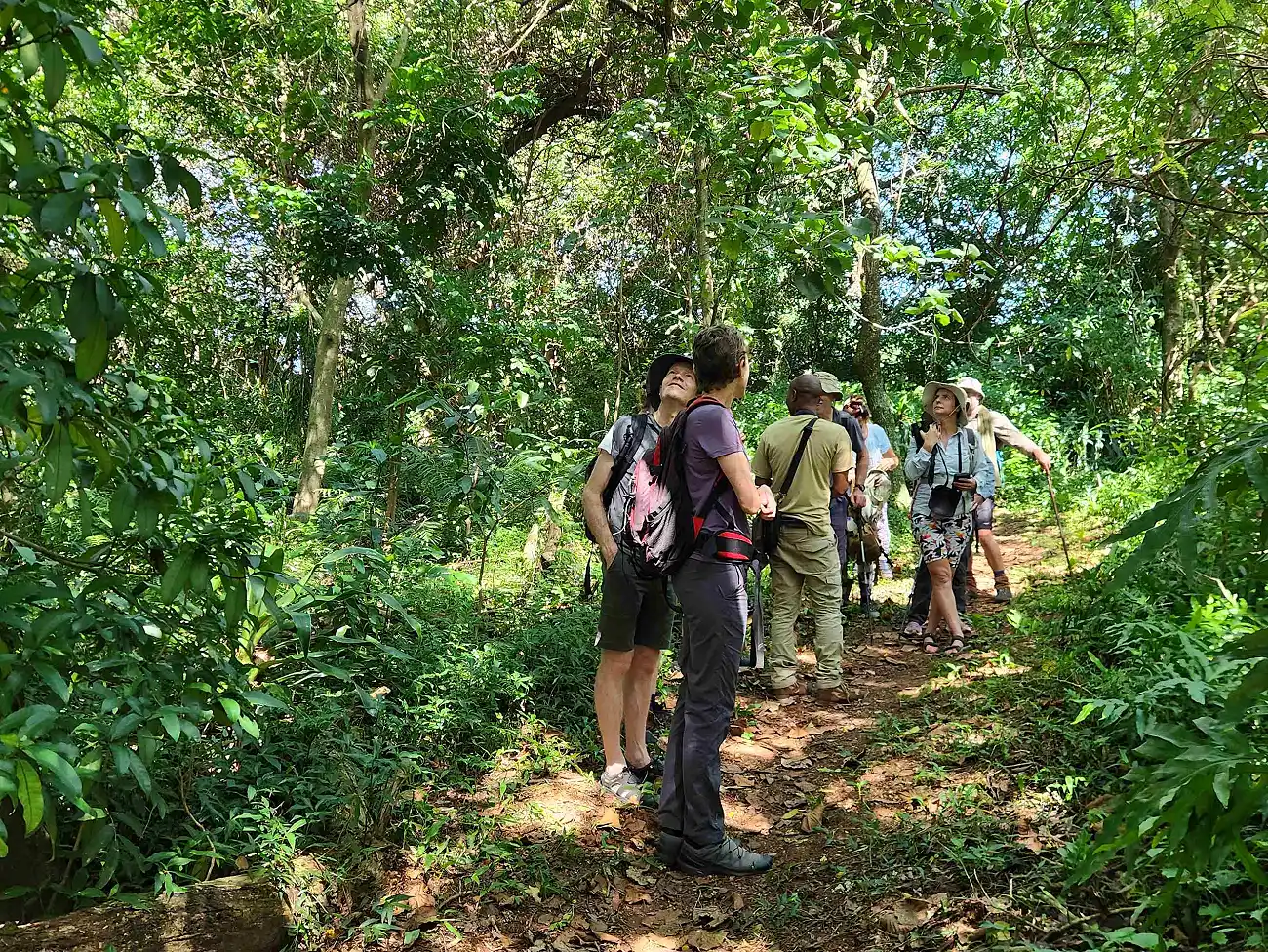 Slackpacking in Mtunzi