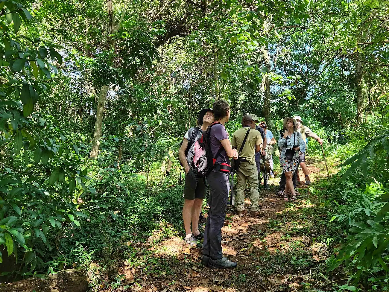 Slackpacking in Mtunzi