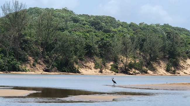 {def_description_image_text}