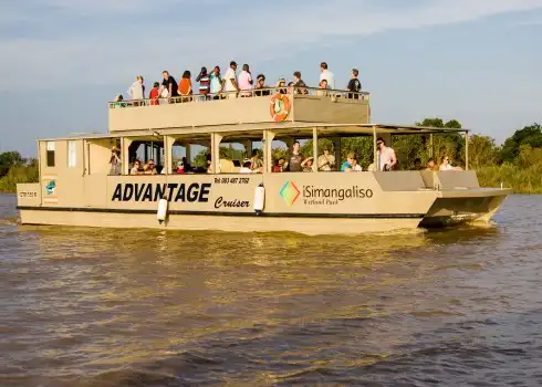 Boat Trips